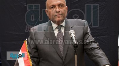 شكري يبحث مع 