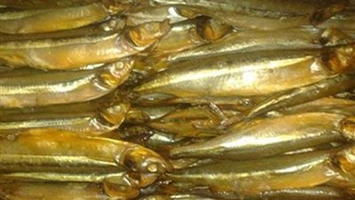 ضبط 6 أطنان ونصف فسيخ وسردين غير صالحة للاستهلاك الآدمي بالبحيرة