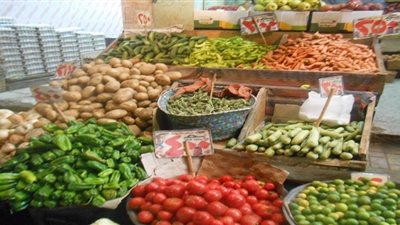 ضبط خضراوات غير صالحة للاستهلاك الآدمي بالإسكندرية