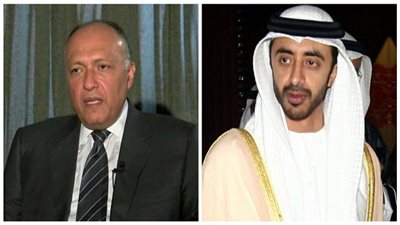 شكرى يلتقى بنظيره الاماراتى