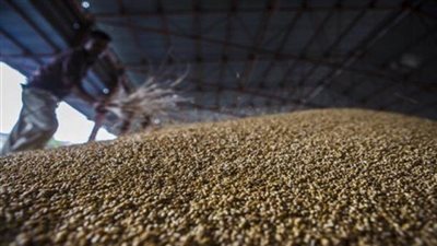 مباحث التموين تضبط أقماح مستوردة ومحلية غير صالحة للاستخدام الآدمي