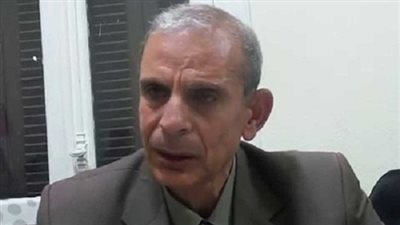 الشامى: إنجاز مشروع القناة يؤكد وجود الإرادة السياسية لتحقيق النجاح