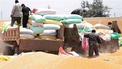 مباحث التموين تضبط أقماحًا ولحومًا غير صالحة للاستخدام الآدمي