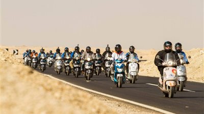 الأقصر تستقبل 75 مشاركًا في 