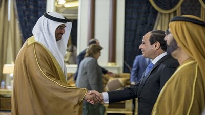 نشاط السيسي في أسبوع.. جولة بـ