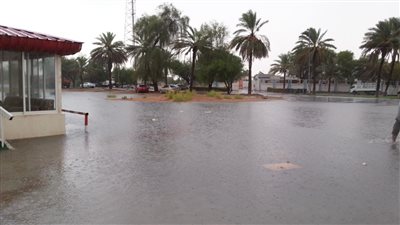 رياح شديدة وأمطار غزيرة على جزيرة سقطرى اليمنية والمياه تدخل المنازل