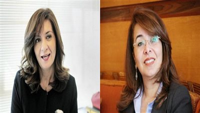 اليوم.. الهجرة والتضامن يبحثان دعم وحماية المصريين بالخارج