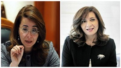 وزيرة الهجرة تبحث مع 