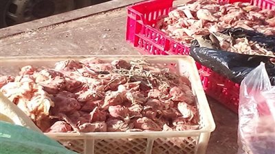 ضبط طن لحوم ودواجن مجمدة غير صالحة للاستهلاك الآدمى بالبحيرة