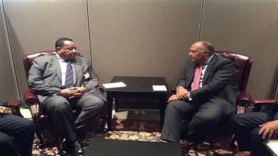 سامح شكري يلتقي وزير خارجية السودان على هامش قمة فاليتا