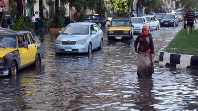 حزب التحالف الشعبي بالإسكندرية يدشن حملة 