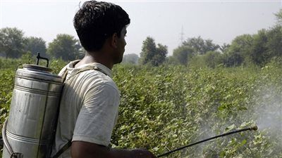 لجنة مراقبة مبيدات الآفات الزراعية تجتمع غدًا