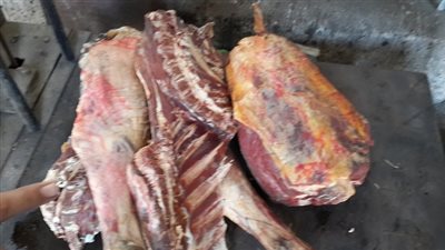 ضبط 579 كجم لحوم فاسدة بأكتوبر