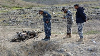 المقاتلات البريطانية تقتل 30 عنصرا من داعش خلال عملياتها في العراق