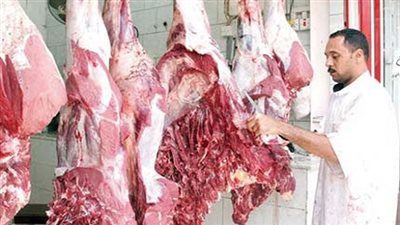 ضبط 5 أطنان لحوم فاسدة في حملة أمنية بالقاهرة