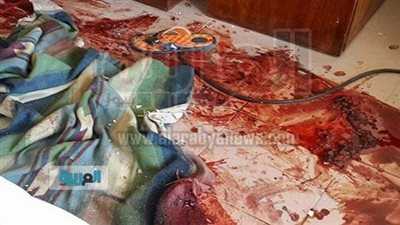 حادث العريش وإسقاط تركيا مقاتلة روسية تتصدران اهتمامات الصحف