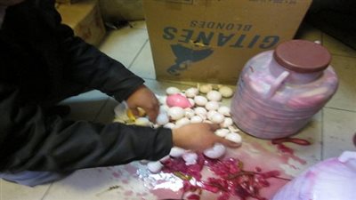 إحباط تهريب 22 طن مخللات فاسدة في الجيزة