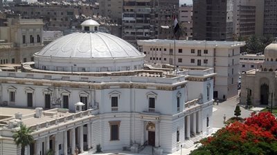 نائب برلماني: 