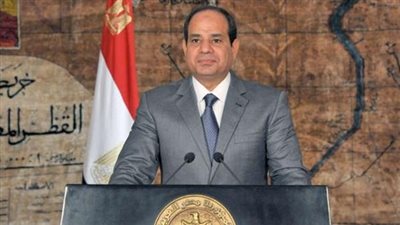 السيسي يبحث تعزيز التعاون مع الشركات الفرنسية في مجالي الصناعات الجوية والبحرية