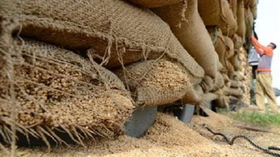 إحباط تهريب 315 طن قمح بالسوق السوداء في المحافظات 