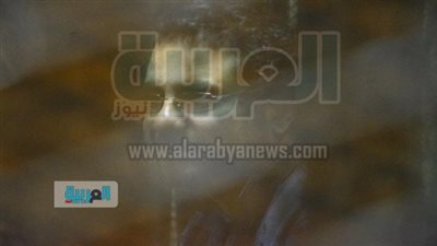 دفاع علاء عبد الفتاح يطلب صورة من قرار ندب المحققين في 