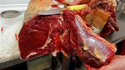 ضبط صاحب شركة استيراد حاول بيع 20 طن لحوم غير صالحة بالجيزة