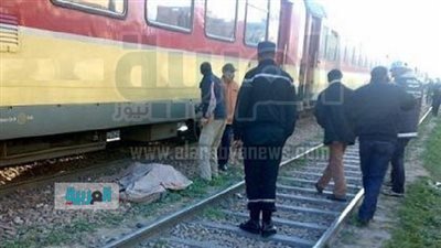 قطار البحيرة يدهس مبيض محارة