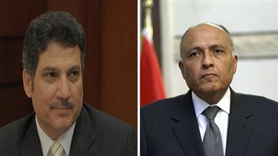 وزيرا الخارجية والري يعودان من السودان 