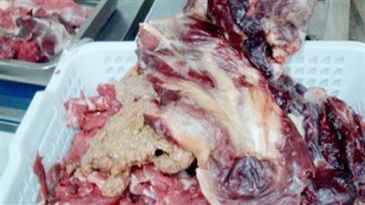 ضبط طن لحوم فاسدة داخل ثلاجة تخزين بالمرج 