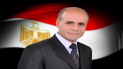 نائب كفرالشيخ: انضمامي لـ