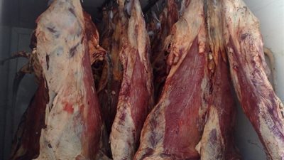 ضبط طن لحوم ودواجن وأسماك فاسدة بالمرج