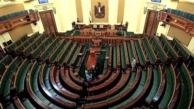 امرأة واحدة تخوض جولة الإعادة في انتخابات مجلس النواب المؤجلة بدمنهور