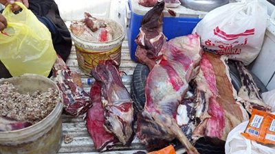 ضبط 1500 كيلو لحوم فاسدة داخل مجزر ببنها 