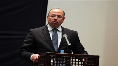 وزير المالية: 1.13 مليار جنيه إجمالي مستحقات التهرب الجمركي في 2015