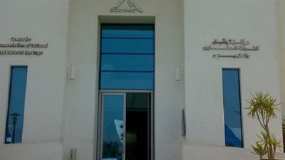 غدًا.. مناقشة الاتجار غير المشروع في الأثار المصرية بمركز توثيق التراث