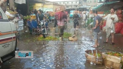 بالصور.. وكالة الإسكندرية تستغيث بالمسئولين لكسح مياه الأمطار وحصر خسائرهم