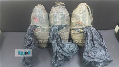 بالصور.. ضبط 6 كيلو بانجو داخل قطار بالأقصر