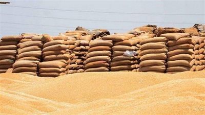 مصر تشتري 120 ألف طن قمح أرجنتيني