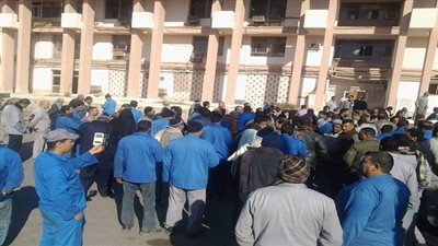 بالصور.. استمرار اعتصام عمال 