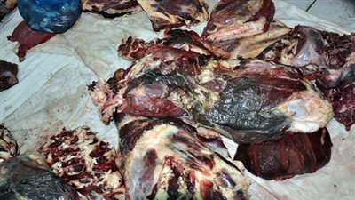 ضبط 2 طن لحوم فاسدة في مصنع بالوراق 