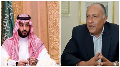 سامح شكري والأمير 