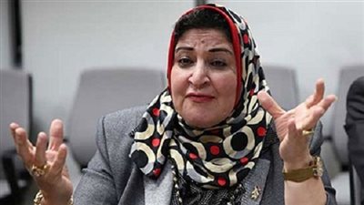 شادية ثابت تعلن ترشحها لوكالة مجلس النواب كممثلة للمرأة