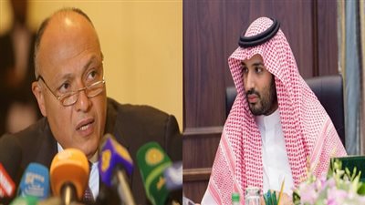 وزير الخارجية وولي ولي العهد يتفقان على دفع العلاقات المصرية - السعودية