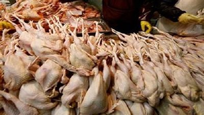 ضبط 13 طن هياكل دواجن فاسدة داخل ثلاجة بالحوامدية