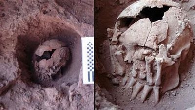 علماء آثار يكتشفون جمجمة قرصان من القرن 16 في بريطانيا