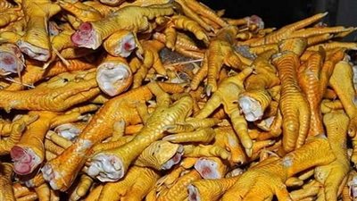 ضبط 14 طن أرجل دواجن عفنة ومركزات أعلاف فاسدة بالإسكندرية