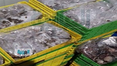 بالصور.. ضبط 2 طن أسماك فاسدة في بور سعيد