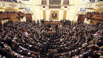 نائب: انعقاد الجلسة الأولى للبرلمان يوم تاريخي في مصر 