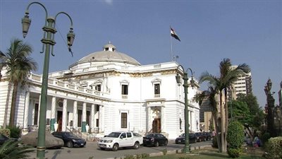 مشادة كلامية بين نائب وضابط تأمين بسبب 