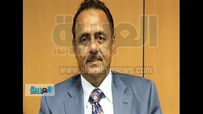 برلماني: مجلس النواب قادر على إيصال مصر لبر الأمان